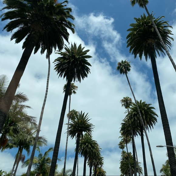 jbo_in_la